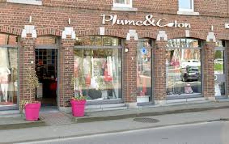PLUME & COTON — PLUME & COTON