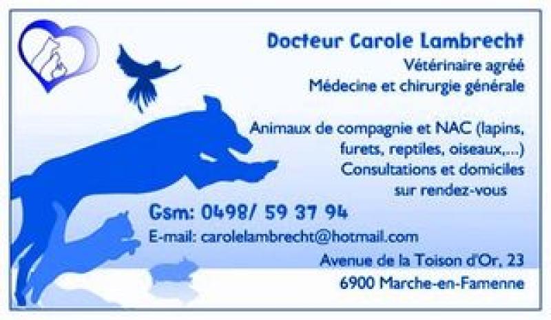 LAMBRECHT CAROLE — 1c25b3c6210de7e323000d7f89708d8d.jpg