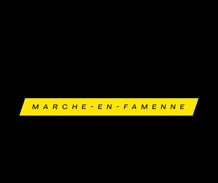 DECLERC MARCHE-EN-FAMENNE : CLICK2MOVE - BYD - OPEL- LEAPMOTOR - DOUCE — 67ebf90b2f73f355738373.png