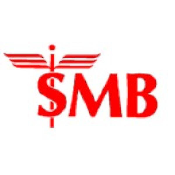 SMB TECHNOLOGY — SMB TECHNOLOGY
