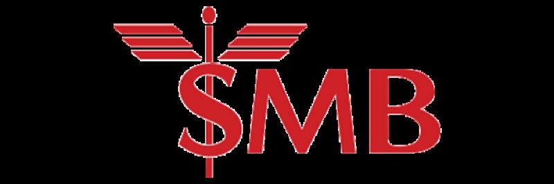 SMB TECHNOLOGY — SMB TECHNOLOGY