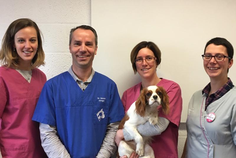 CENTRE VETERINAIRE FAMENNE VET - SENGER-TASIAUX — 01KNNYRBB4ZBH9JYWP6TFVS7ZM.jpg