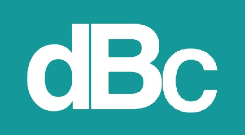 D.B. CONSULTING — D.B. CONSULTING