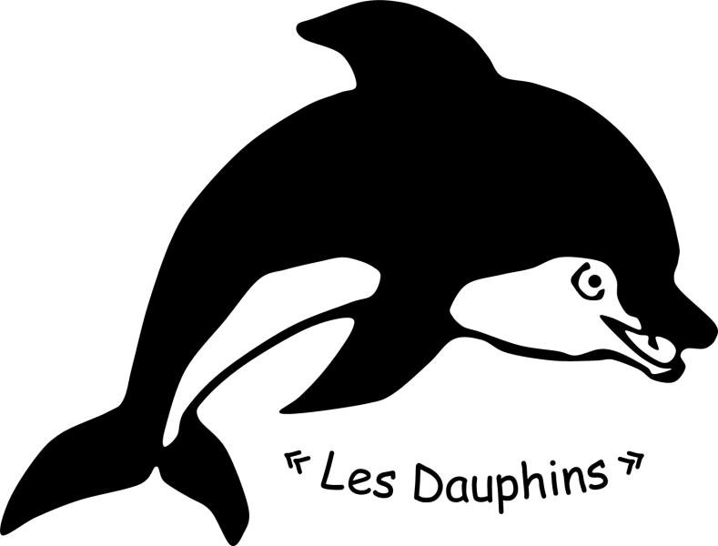 CLUB LES DAUPHINS — 5c657aa0cddf5049160918.png
