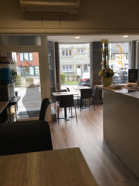 CAP MARCHE (GLACIER) — 5ca353342576c998140116.JPG