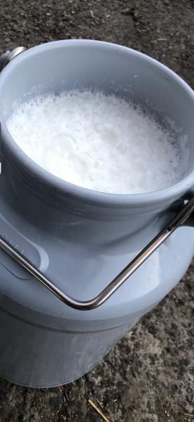 LES GLACES DE LALIE — 65c098dbf281a314562916.png