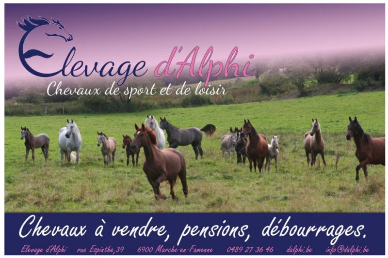 ELEVAGE D'ALPHI — ae737edcf22cc922ad5d533709d4b163.jpg