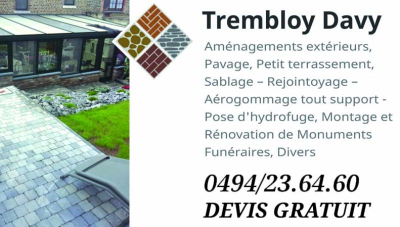 TREMBLOY DAVY — TREMBLOY DAVY