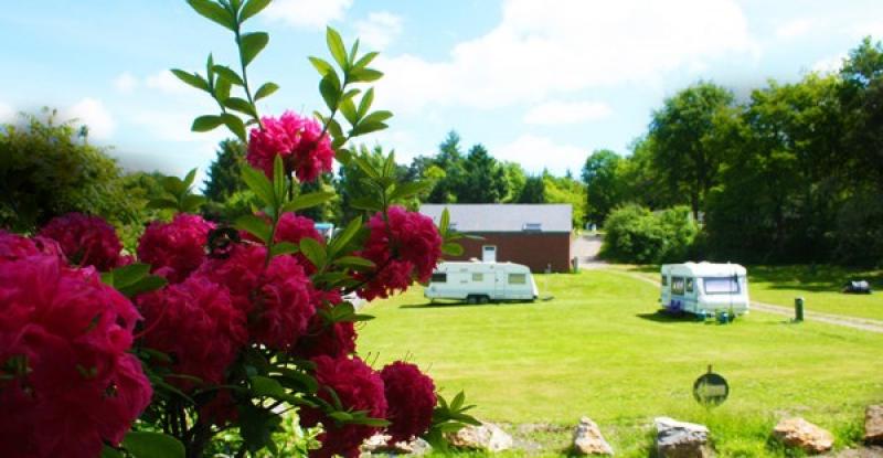 EURO CAMPING PAOLA — 65c6335769a2d664710881.jpg