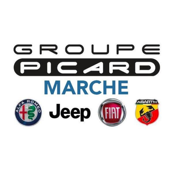 GROUPE PICARD — 6272328277b67055750216.png