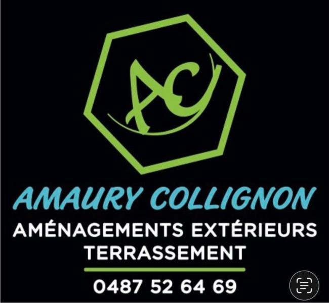COLLIGNON AMAURY — COLLIGNON AMAURY
