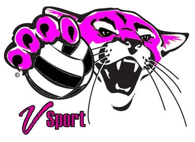 Logo de VSPORT