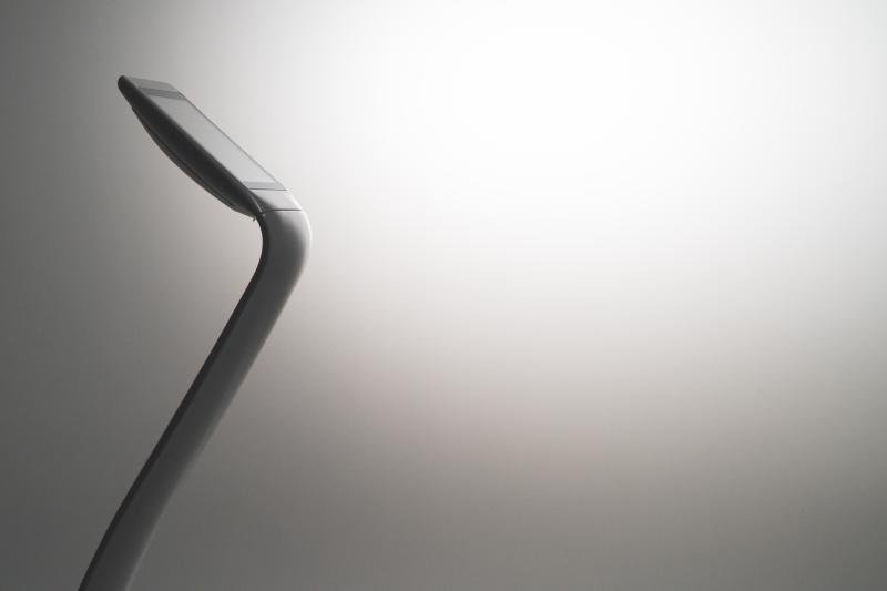 XBODY MARCHE — 6272c7391ec09479205466.jpg