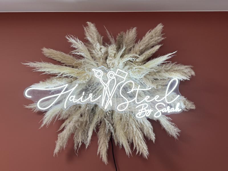 HAIR STEEL — 69a12fb3e4098725445590.jpg