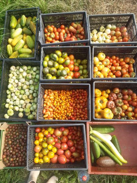 LA TERRE D'ELNO — 65fbf08ea0eef365904557.jpg