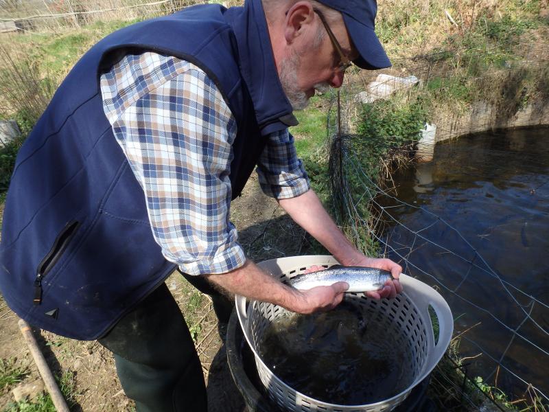 PISCICULTURE DE LA WAMME — 67ed4360c5c72866302056.jpg