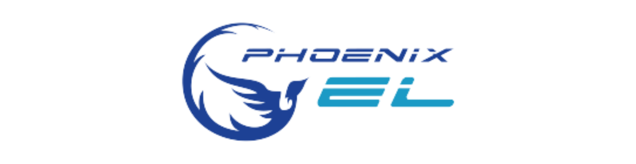 Photo 1 de PHOENIXEL