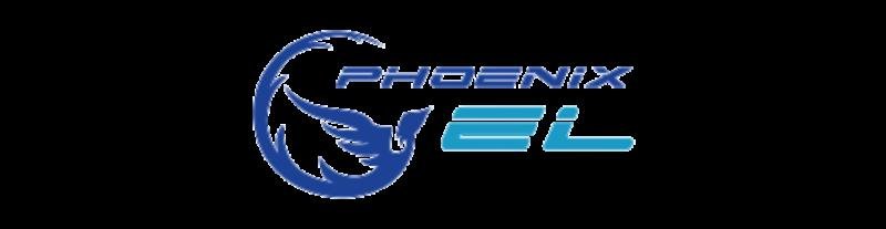 PHOENIXEL — 65cb4dc85bb7c000556667.png