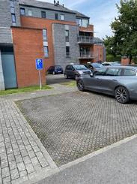 PARKING PMR - TOISON D'OR — 66deba09a4d79047082601.jpg