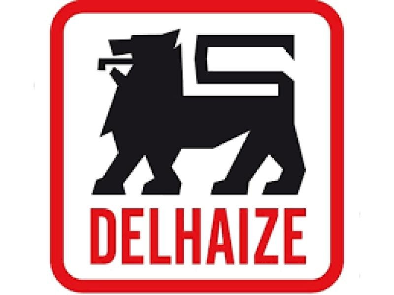 DELHAIZE — Delhaize
