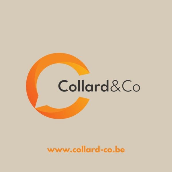 COLLARD & CO — 67ebd598a7e08609264781.jpg