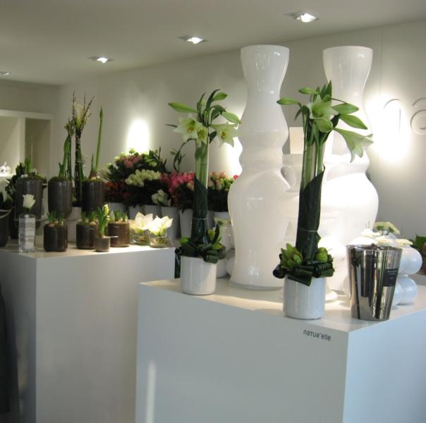 NATUR' ELLE — 781bb5ba9acc0e06ded61442e2804431.jpg