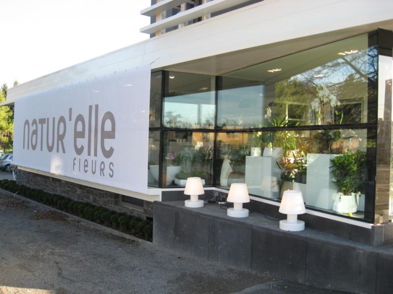 NATUR' ELLE — d5675afbec6b2387a7f4d8080877003c.jpg