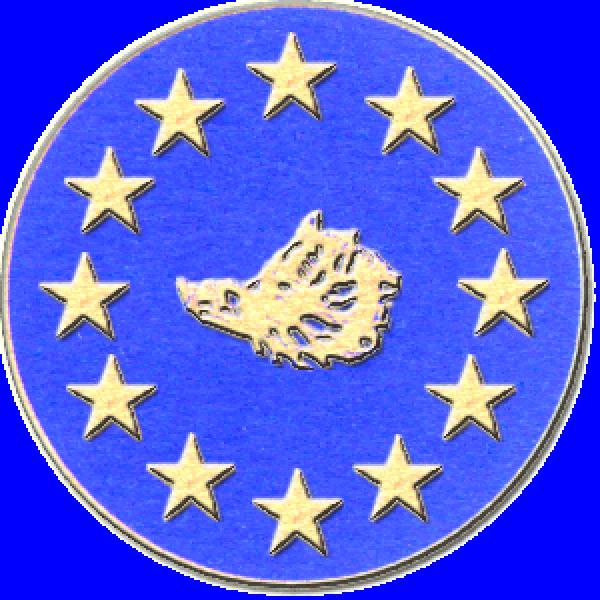 ASBL MARCHE EUROPEENNE DU SOUVENIR ET DE L'AMITIE (MESA) — 5c6578390cfe0122035956.gif