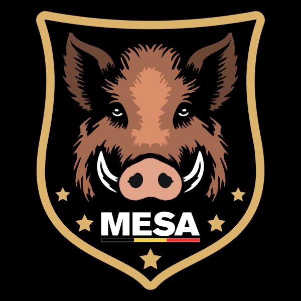 ASBL MARCHE EUROPEENNE DU SOUVENIR ET DE L'AMITIE (MESA) — 67ebd1e8c2a83715004194.png