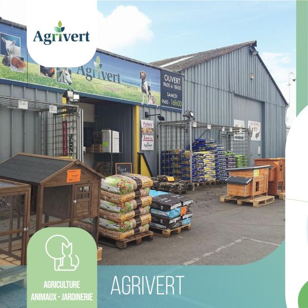 AGRIVERT SRL — AGRIVERT SRL