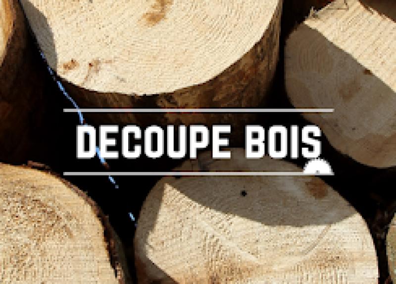 DECOUPE BOIS S.A — DECOUPE BOIS S.A