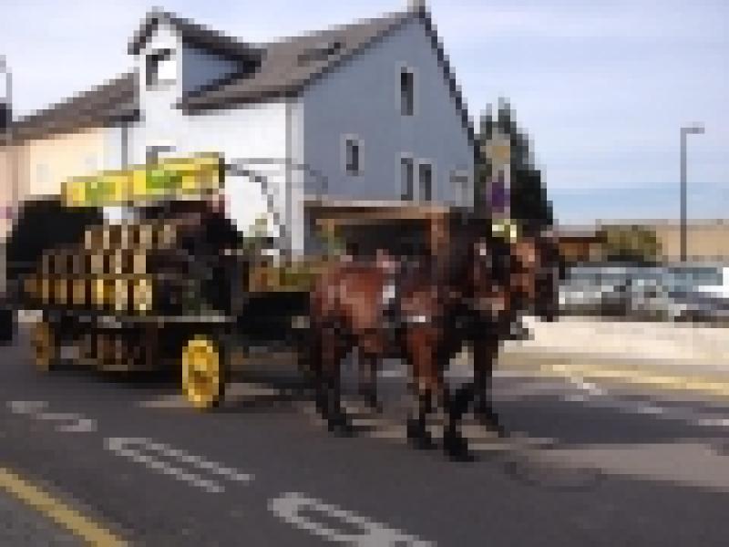 ATTELAGES ARDENNAIS (LES TRAITS DE LA FAMENNE) — 978638d32eb735670b22fc60f4a72368.jpg