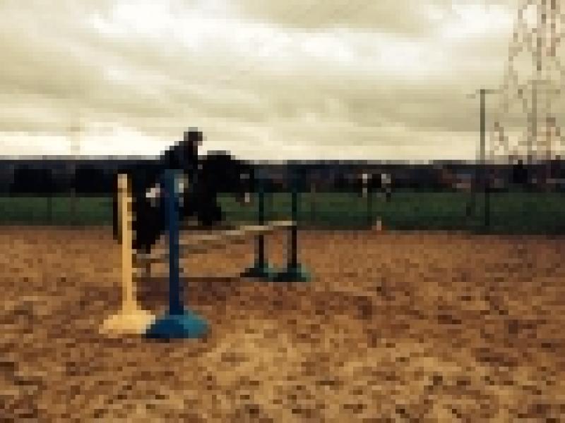 ATTELAGES ARDENNAIS (LES TRAITS DE LA FAMENNE) — a96bf084f9cfea9dd95147936de666c0.jpg