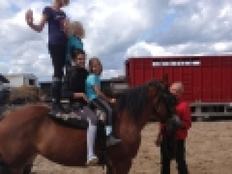 ATTELAGES ARDENNAIS (LES TRAITS DE LA FAMENNE) — d199dd8faa2470dbeb6fb6331bb5f367.jpg