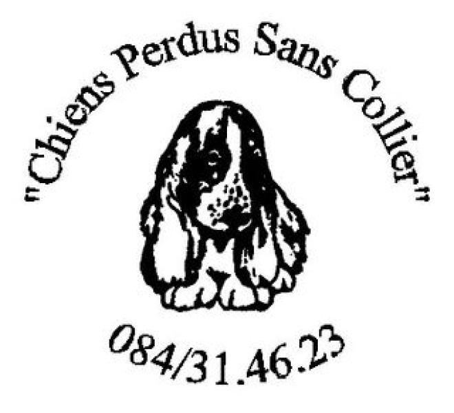 CHIENS PERDUS SANS COLLIER - REFUGE — 007e191fc2b84ce6a469259f893b4730.jpg
