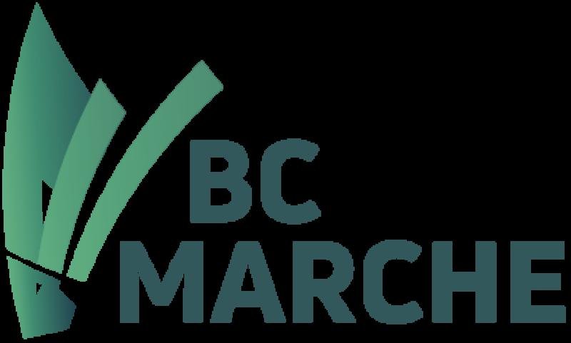 BADMINTON CLUB MARCHE  ASBL — 627241c53e21b493041200.png