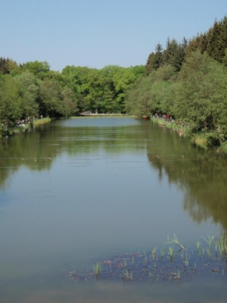 LA LIBELLULE (SOCIÉTÉ ROYALE DE PÊCHE) — bac71cde8fa5cacac02b443363176974.jpg