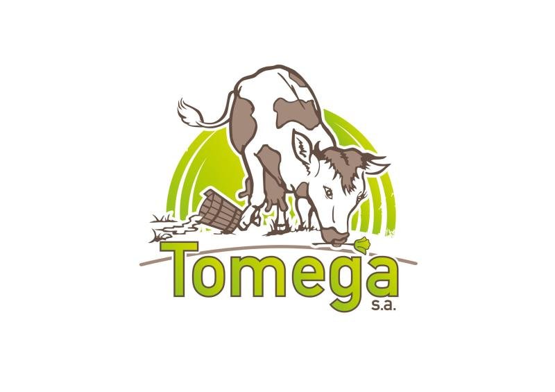 TOMEGA SA — TOMEGA SA