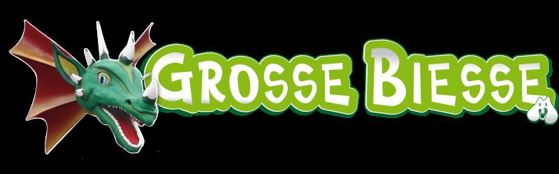 COMITE CARNAVAL DE LA GROSSE BIESSE — 65c375db1c469262135862.png