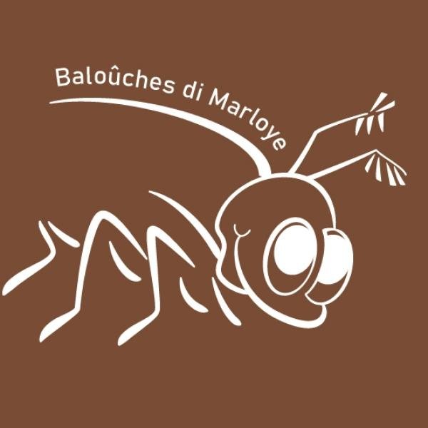 LES BALOUCHES ASBL. — 65c3785b628e4999566285.jpg