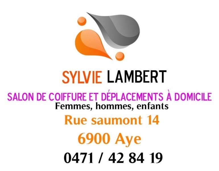 COIFFURE SYLVIE LAMBERT — 5d914c1ed08eb3091f4f3be900826ebb.jpg