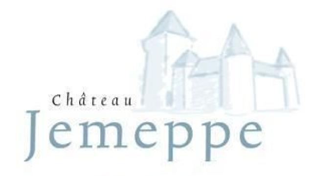 CHÂTEAU JEMEPPE - CENTRE DE SÉMINAIRES ET D'ÉVÈNEMENTS RÉSIDENTIELS