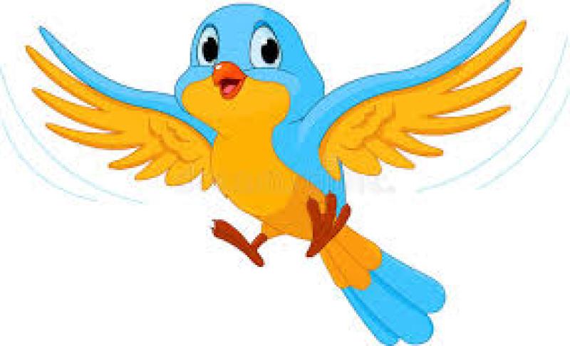 LES AMIS DES OISEAUX DE AYE — LES AMIS DES OISEAUX DE AYE