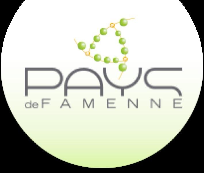 PAYS DE FAMENNE ASBL — PAYS DE FAMENNE ASBL