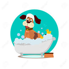 Logo de LILA&MOI ATELIER CANIN