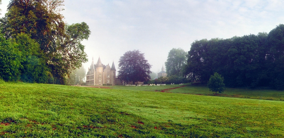 Photo 3 de CHATEAU D'HASSONVILLE