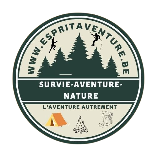 Logo de ESPRIT AVENTURE