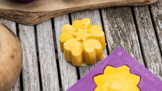 PAR AMOUR DU VIVANT - BARBARA LEBOUTTE